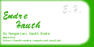 endre hauth business card